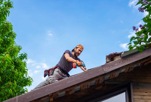 Best Roof Insulation Installation  in Coaldale, PA