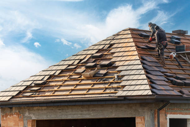 Best Roof Inspection  in Coaldale, PA