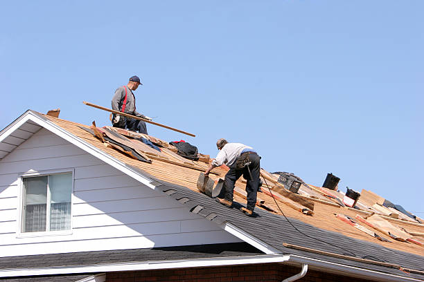 Best Roof Maintenance and Cleaning  in Coaldale, PA